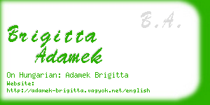 brigitta adamek business card